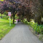 IMG-20240524-WA0066