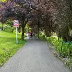 IMG-20240524-WA0066